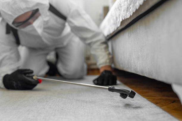 Professional Pest Control technician working in Kyle, TX